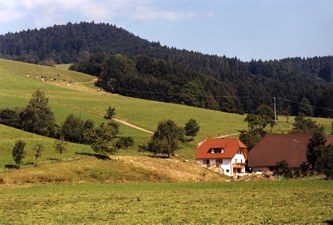Bauernhof - Schneiderhof Unteribental